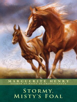 cover image of Stormy, Misty's Foal